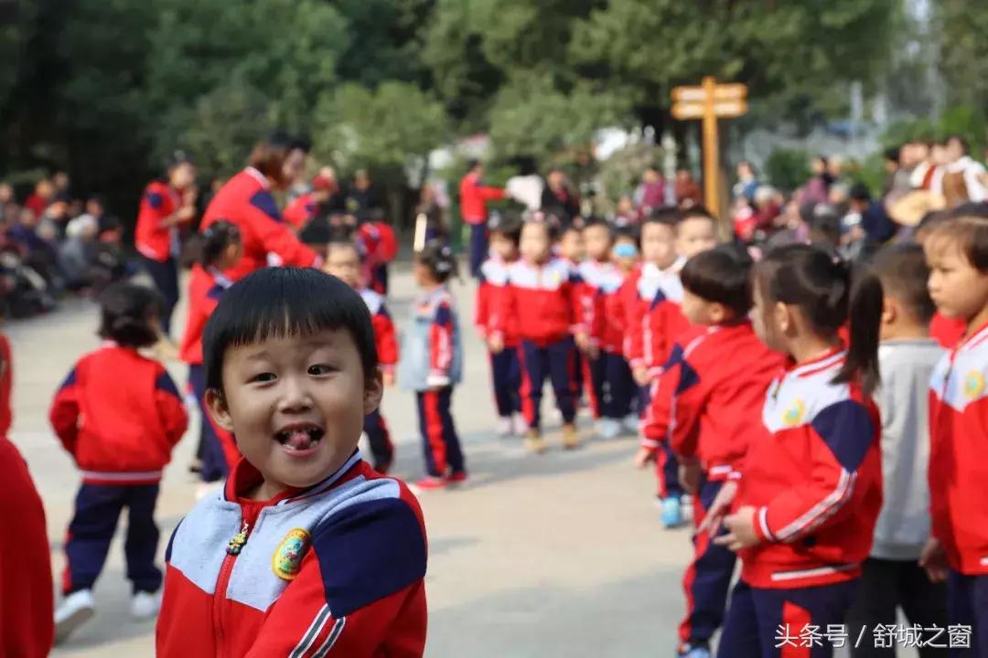 这养老院火了,安徽舒城养老院名单