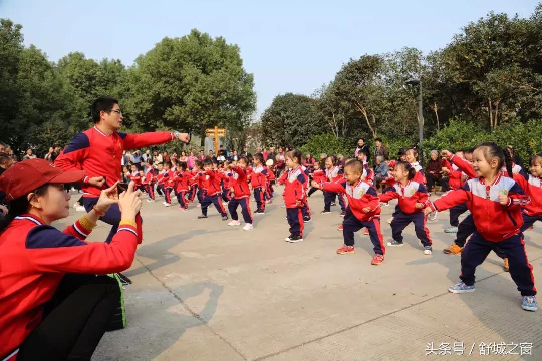 这养老院火了,安徽舒城养老院名单