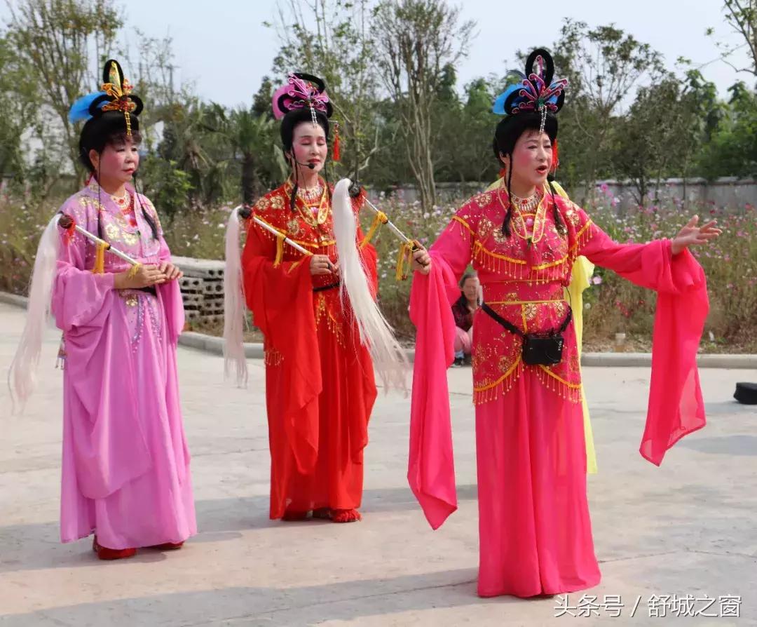 这养老院火了,安徽舒城养老院名单