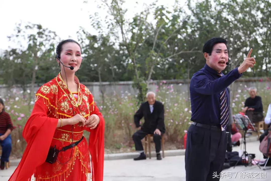 这养老院火了,安徽舒城养老院名单