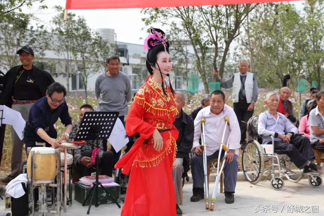 这养老院火了,安徽舒城养老院名单