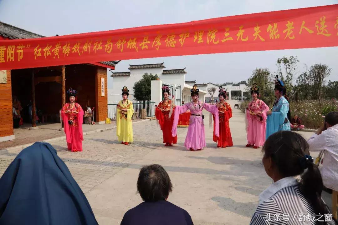 这养老院火了,安徽舒城养老院名单