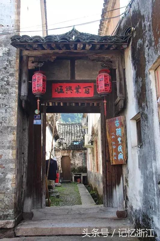 兰台花开是什么,兰台花开