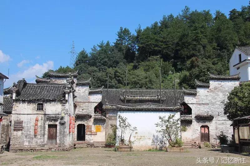 兰台花开是什么,兰台花开