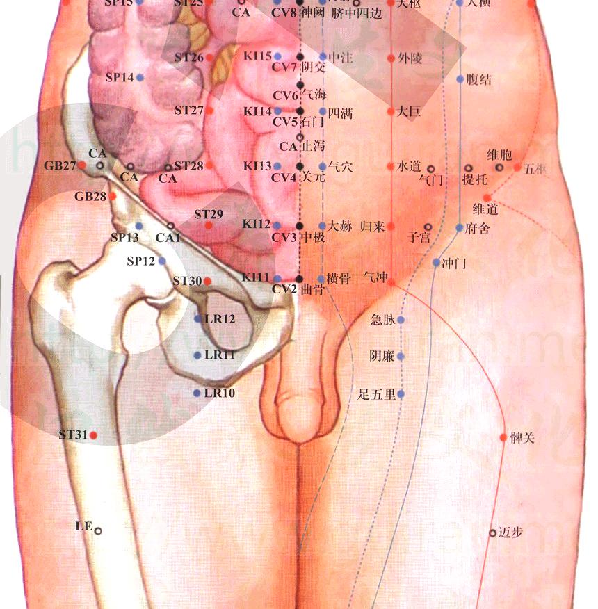 针灸穴位图及作用,针灸人体穴位图大全详解