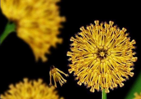 裸体女模天籁般人体艺术，惊艳！无与伦比的震撼！绝不能错失