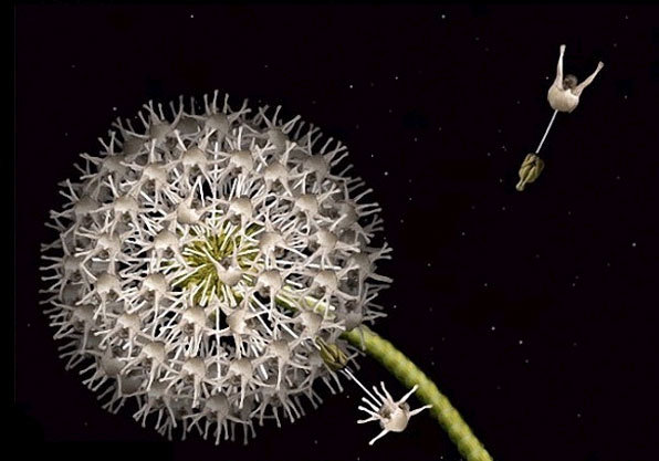 裸体女模天籁般人体艺术，惊艳！无与伦比的震撼！绝不能错失