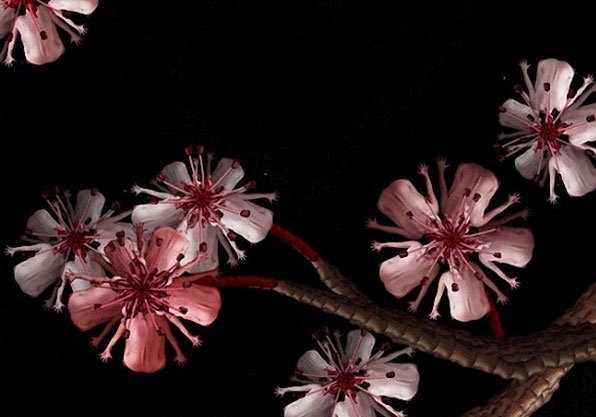 裸体女模天籁般人体艺术，惊艳！无与伦比的震撼！绝不能错失