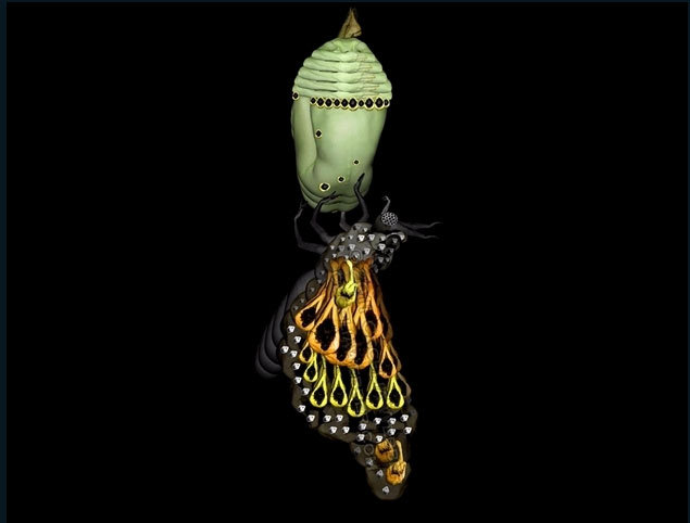 裸体女模天籁般人体艺术，惊艳！无与伦比的震撼！绝不能错失