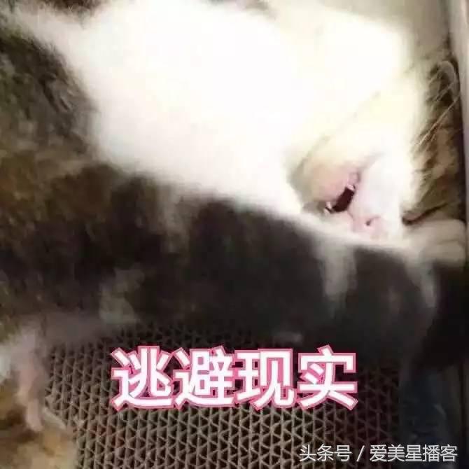 大衣女韩版慵懒风显高显瘦,想要将大衣穿得显瘦又显高级版型