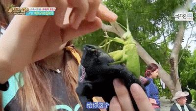 这个人人爱的假脸女人，亚洲女星谁演比较靠谱？