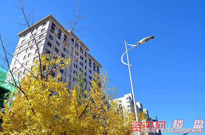 张家口大开间公寓,张家口大草原公寓