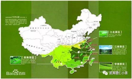 华夏大陆，四大产区，十大名茶分布
