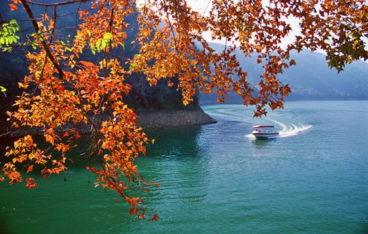 天凉好个秋,一起来感受秋日广东乡村的多样色彩吧!