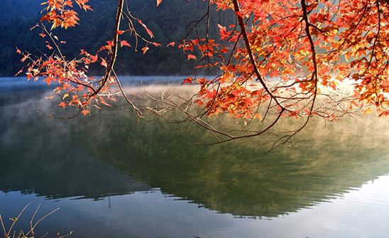 天凉好个秋,一起来感受秋日广东乡村的多样色彩吧!