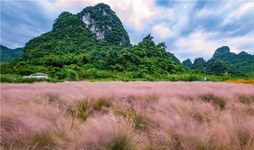 天凉好个秋,一起来感受秋日广东乡村的多样色彩吧!
