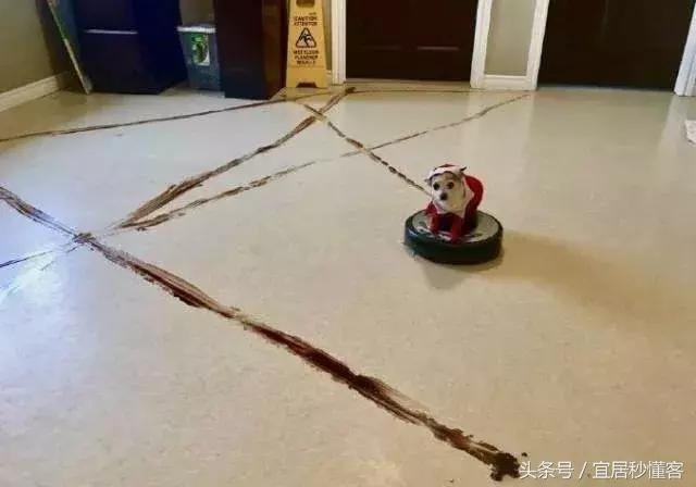 扫地机器人有没有必要买便宜的,品牌的扫地机器人靠谱吗