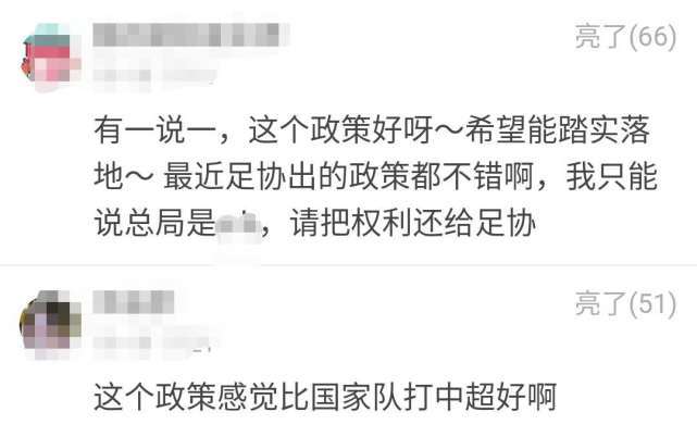 国内足球老将对足协新政的看法,中国足协对中国足球发展规划