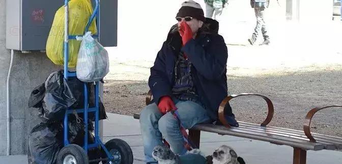 加拿大*麻大**合法了!留学生携带*麻大**回国,却将严重违法!