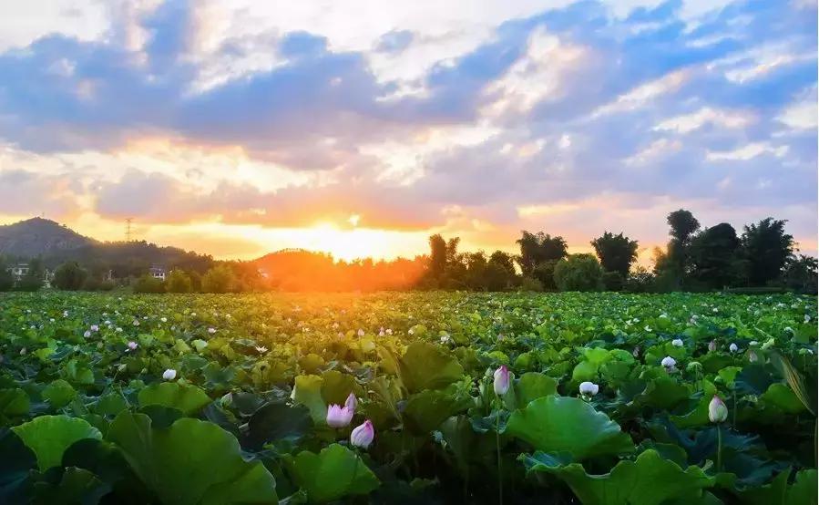 北流市哪个区域发展最好,广西北流市发展前景如何