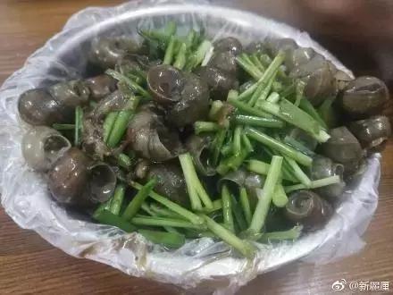 北流市哪个区域发展最好,广西北流市发展前景如何