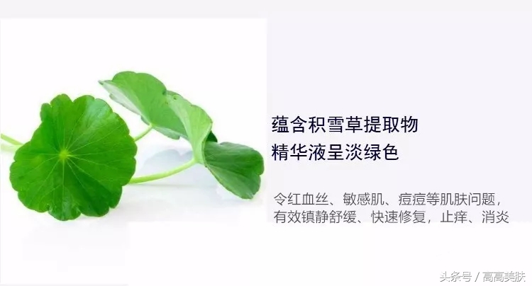 Dr.Jart+/蒂佳婷积雪草药丸面膜——祛痘只要三天！