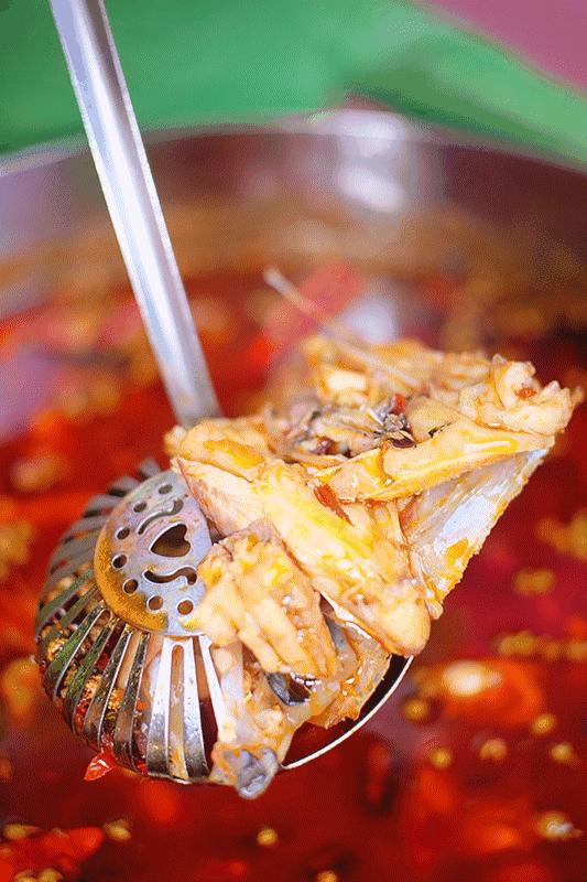 春熙路求婚后来怎么样了,春熙路大熊猫求婚完整版