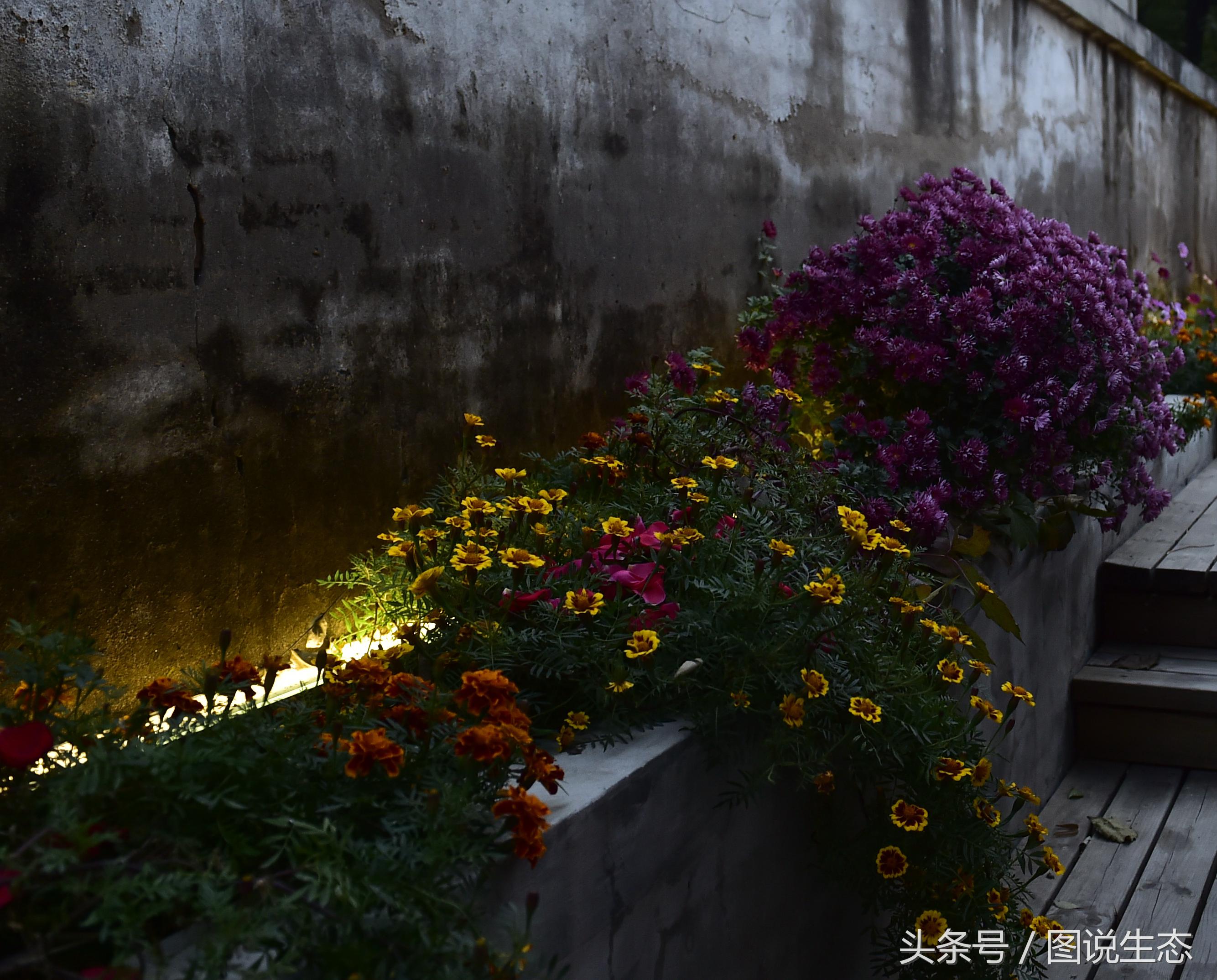 姘戝榛勬爩鑺卞紑,鍖椾含鍛ㄨ竟鑳藉惉鍒伴挓澹扮殑姘戝