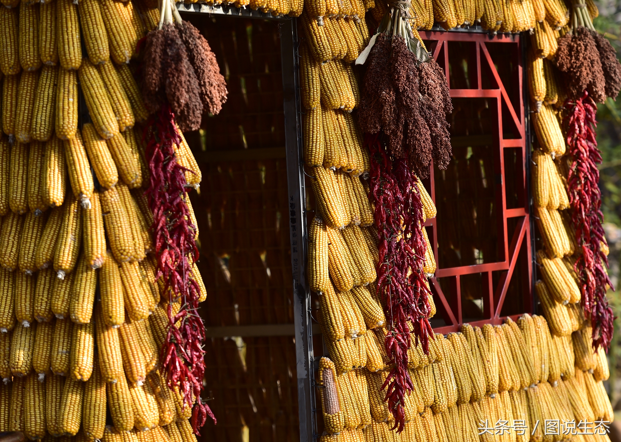 姘戝榛勬爩鑺卞紑,鍖椾含鍛ㄨ竟鑳藉惉鍒伴挓澹扮殑姘戝