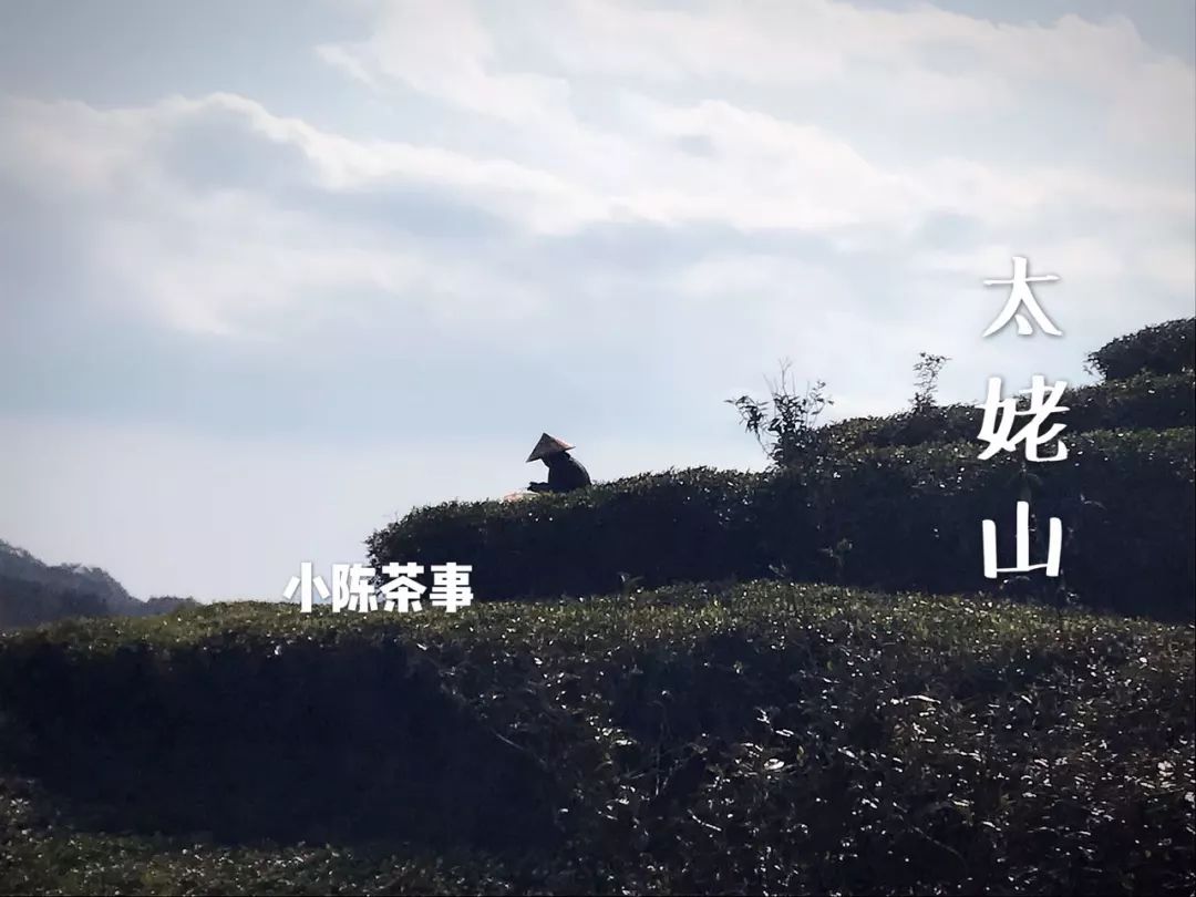 在淘宝上买茶还是在实体店买茶 (为什么不想在网上买茶)