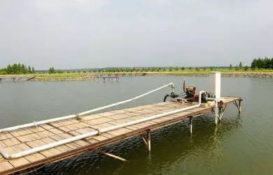 钓鱼小药怎么正确使用,丁香酒钓鱼的用法与用量