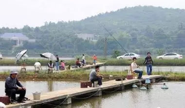 钓鱼小药怎么正确使用,丁香酒钓鱼的用法与用量