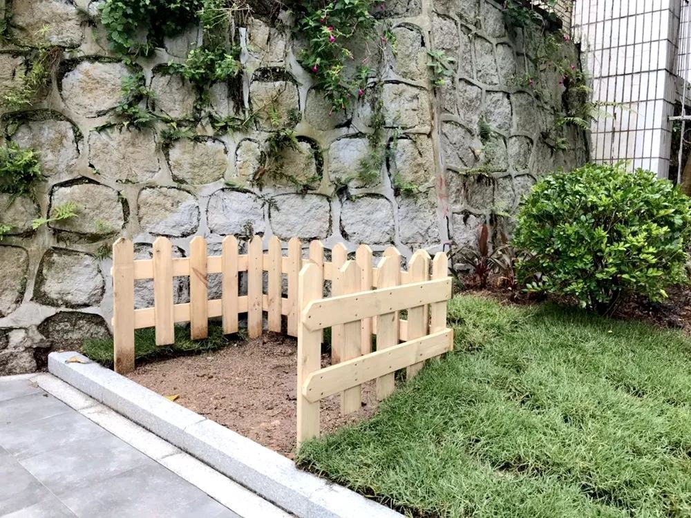 珠海香洲，背街小巷也漂亮