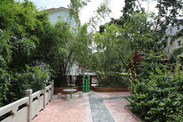 珠海香洲，背街小巷也漂亮