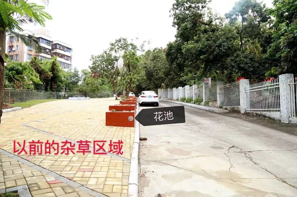 珠海香洲，背街小巷也漂亮