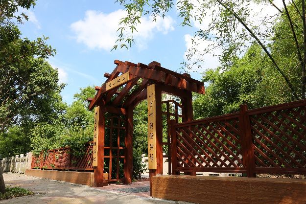 珠海香洲，背街小巷也漂亮