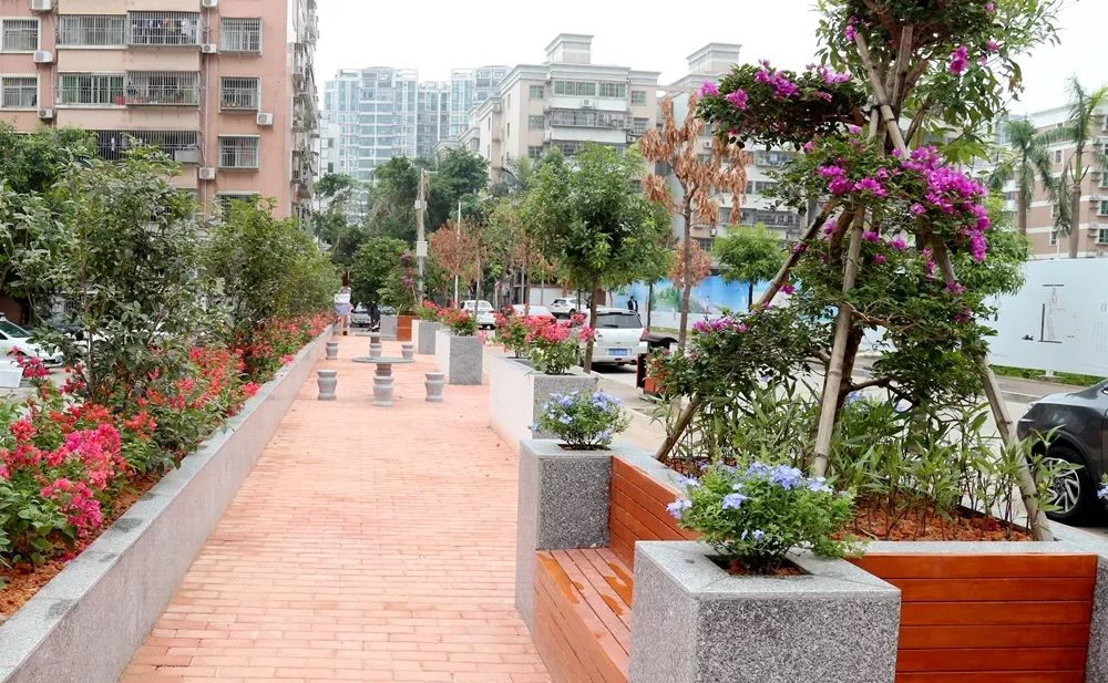 珠海香洲，背街小巷也漂亮