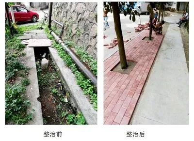 珠海香洲，背街小巷也漂亮