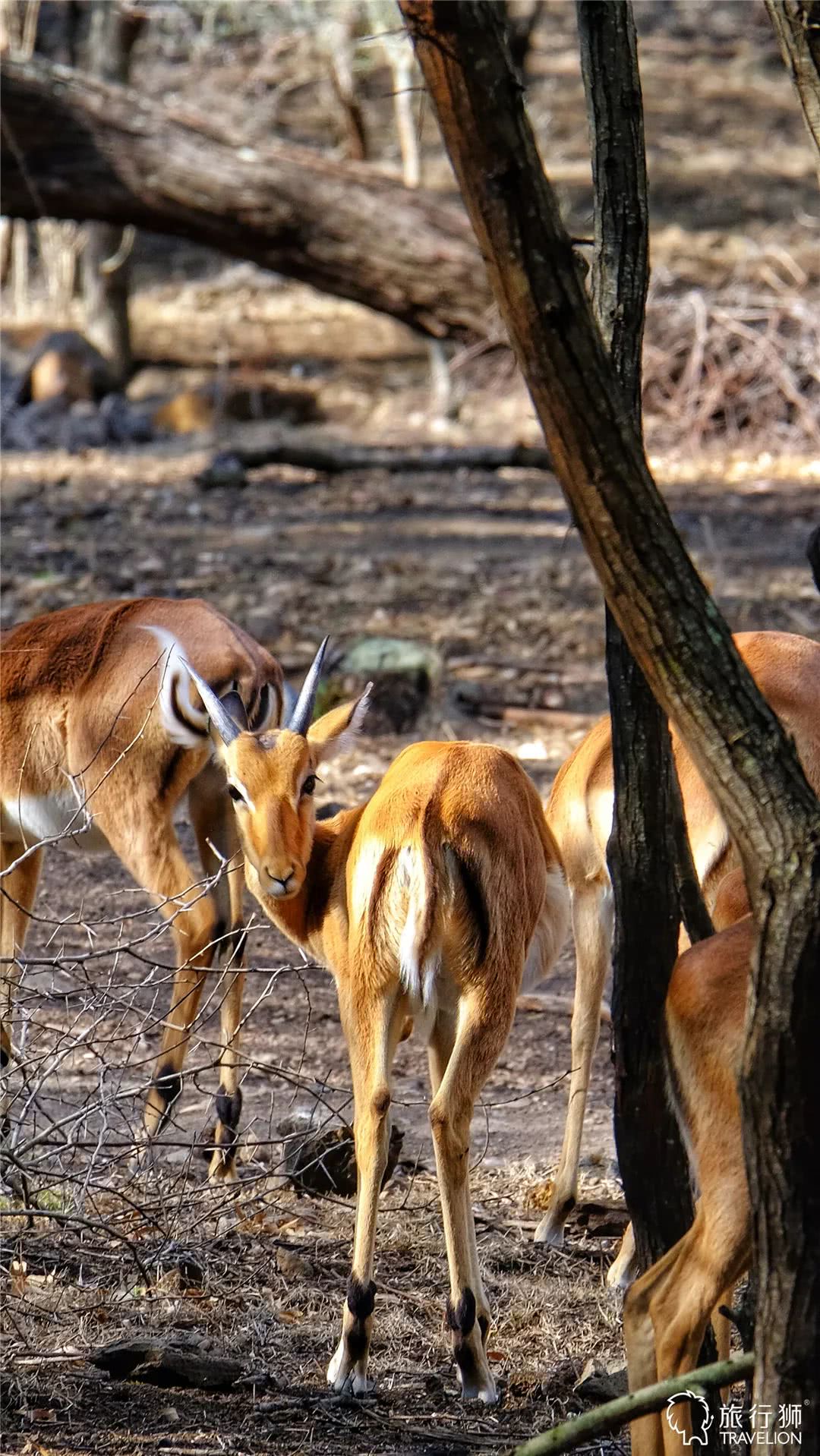 你喜欢什么样的海水,你喜欢什么样的海