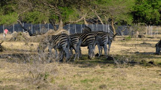 你喜欢什么样的海水,你喜欢什么样的海