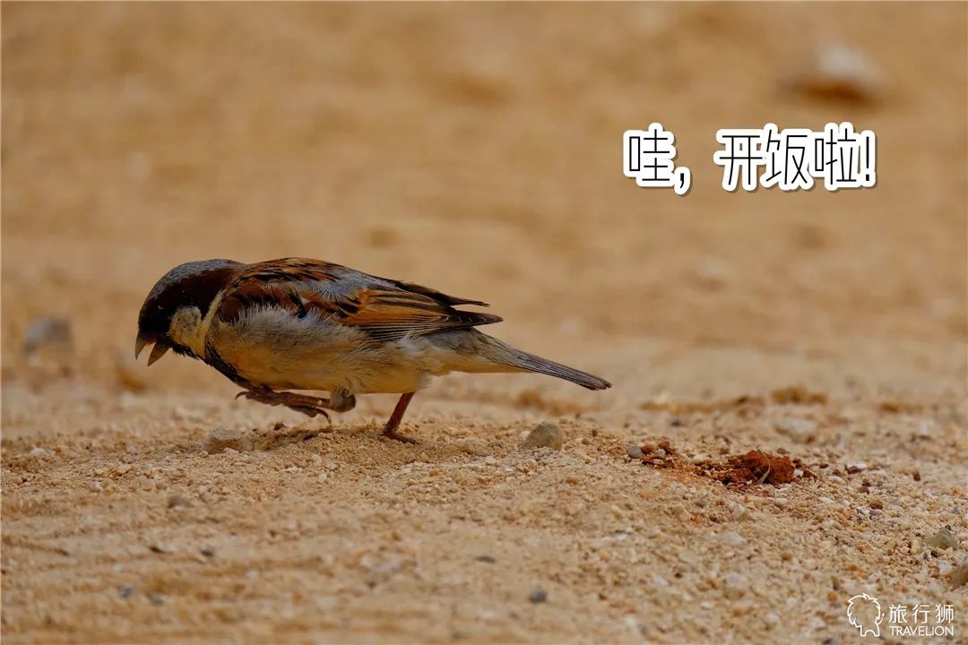 你喜欢什么样的海水,你喜欢什么样的海