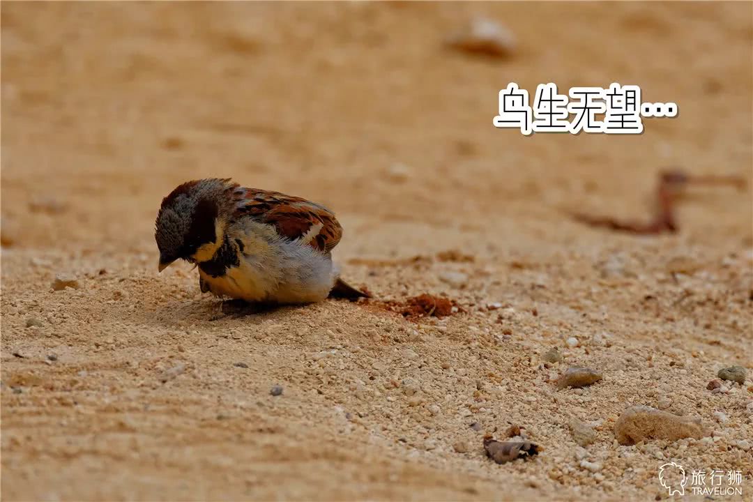 你喜欢什么样的海水,你喜欢什么样的海