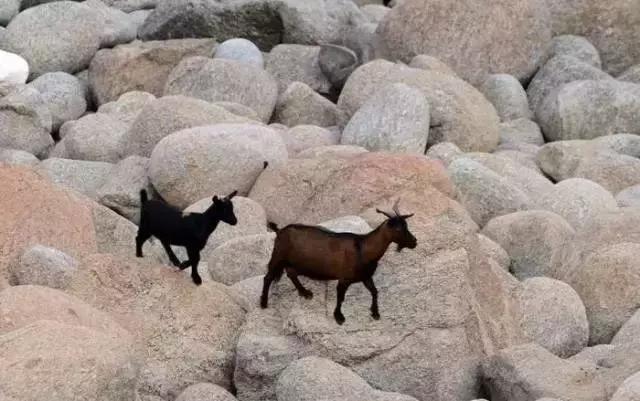 小众的海边小渔村,河北港渔村