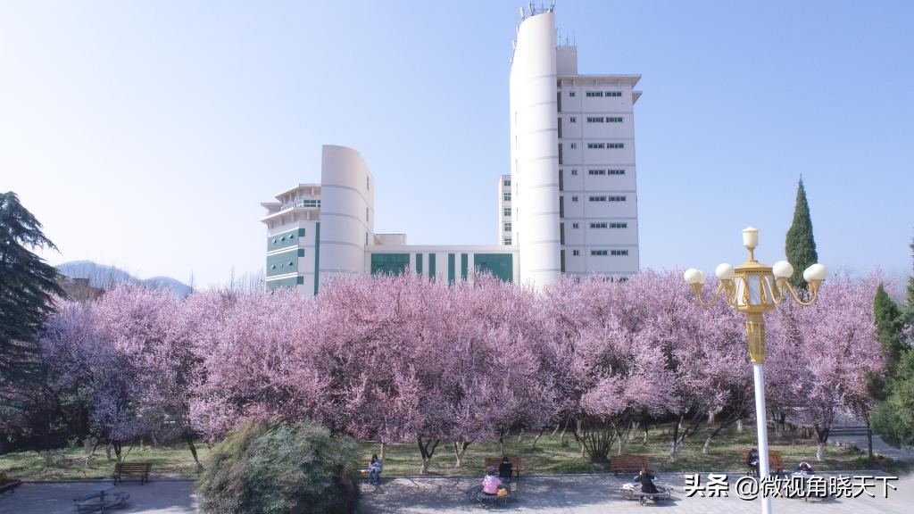 信阳师范学院：回眸但觉烟色浅，不知春意入师院