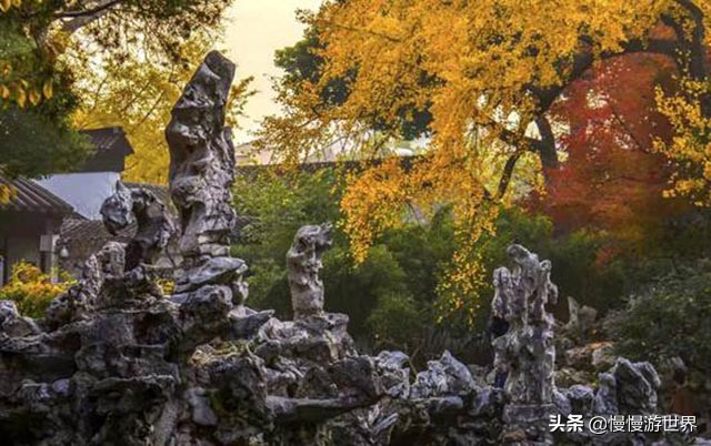 暑期溜娃来苏州新地标打卡:不远不累,就在苏州尼盛万丽酒店