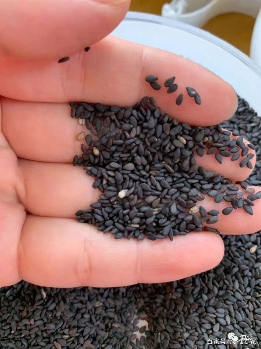 轻度l4l5椎间盘膨出可以军训吗,腰椎l3l4l5轻度膨出严重吗