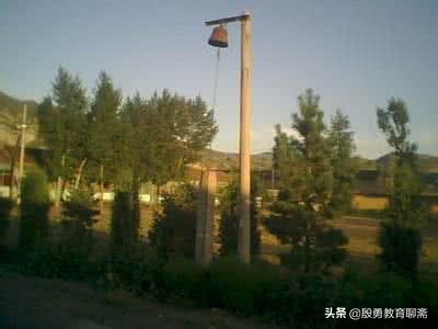 真是太“逗”了丨这个“旁听生”居然考了第一名