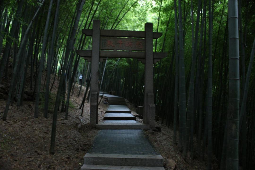 乾隆六下江南七次到过的地方,乾隆下江南去过几次天宁寺