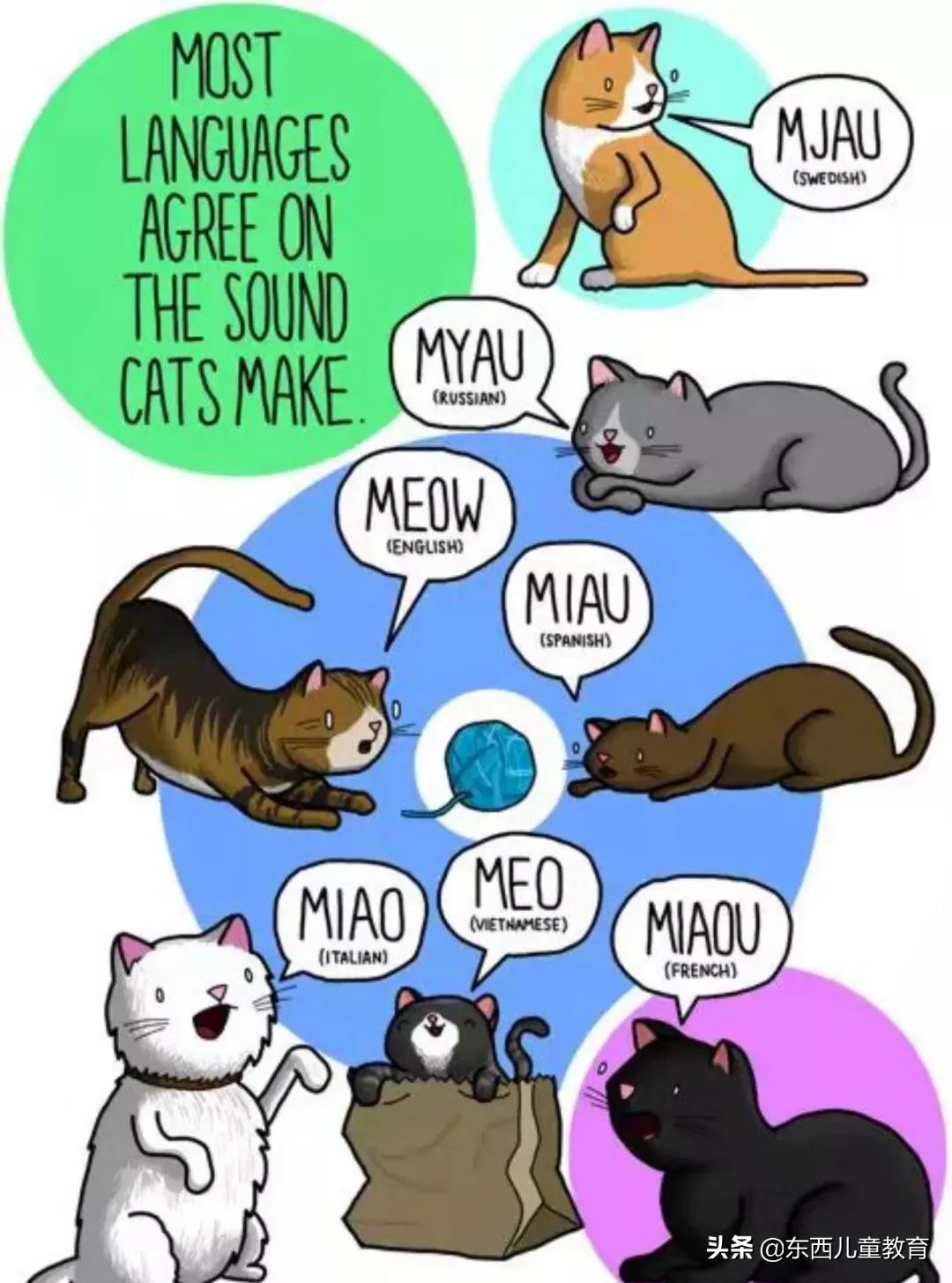 一套适合所有孩子的英语学习方法,让孩子学习英语的方法