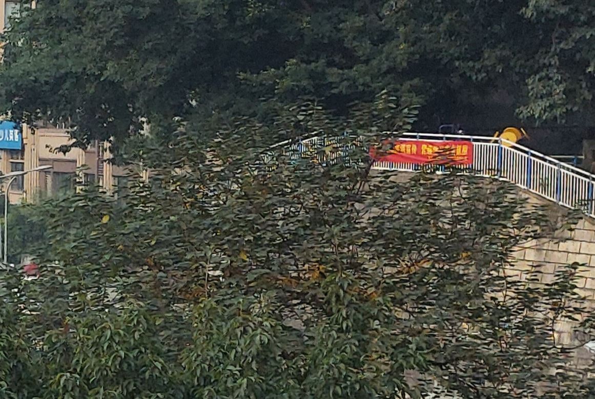 手机拍照也数毛，6400万像素GW1实测